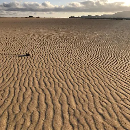 Διαμέρισμα Aulaga *