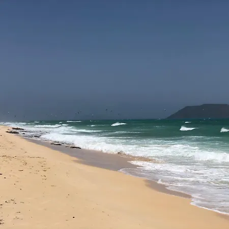 Aulaga * Villaverde (Fuerteventura)