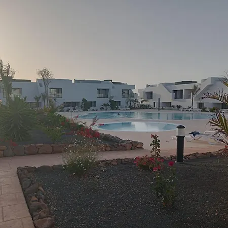 Aulaga * Villaverde (Fuerteventura)